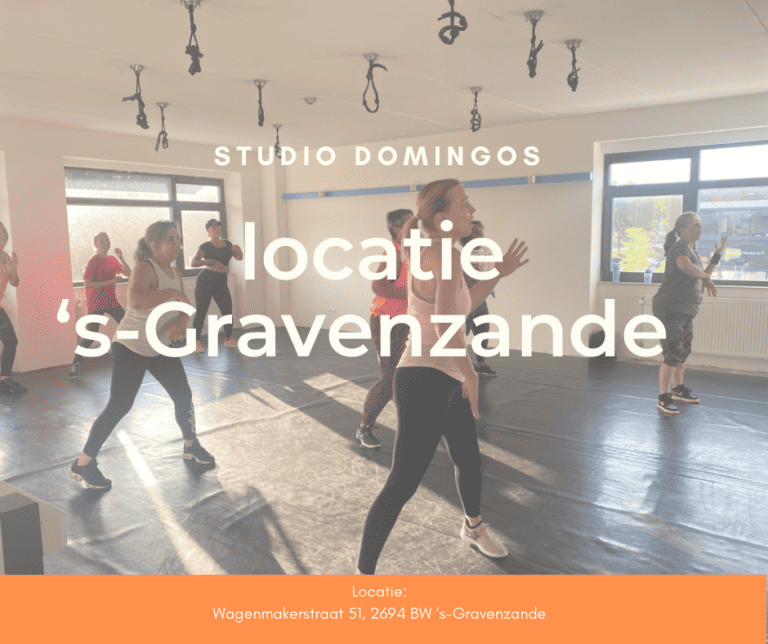 Locatie 's Gravenzande